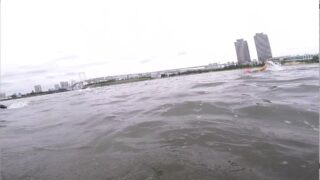 お台場で泳いでみた!トライアスロンスイム(海)の現実。
