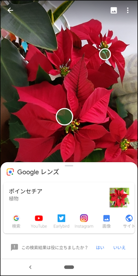 Screenshot_20181210-075647