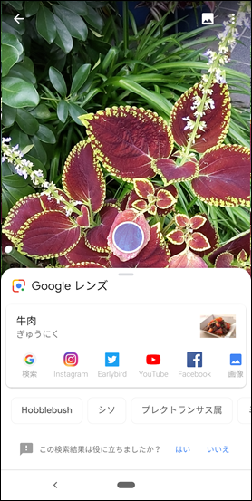 Screenshot_20181210-080144